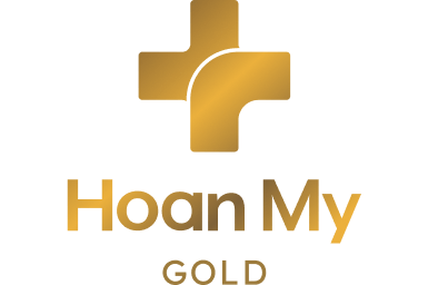 Logo Brand Hoàn Mỹ Gold