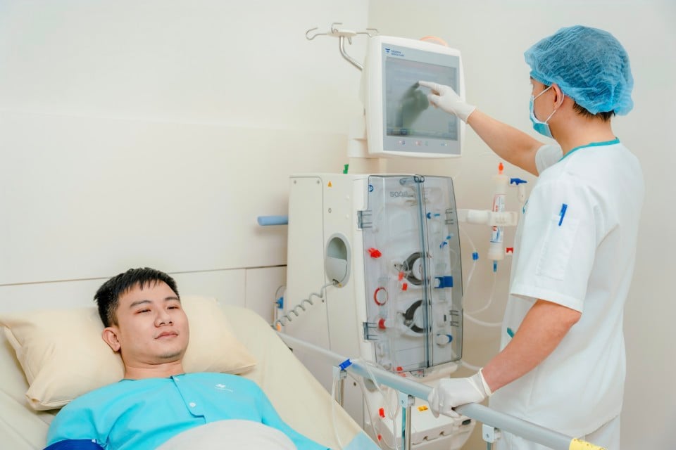 Gan – Tụy – Mật Illustration